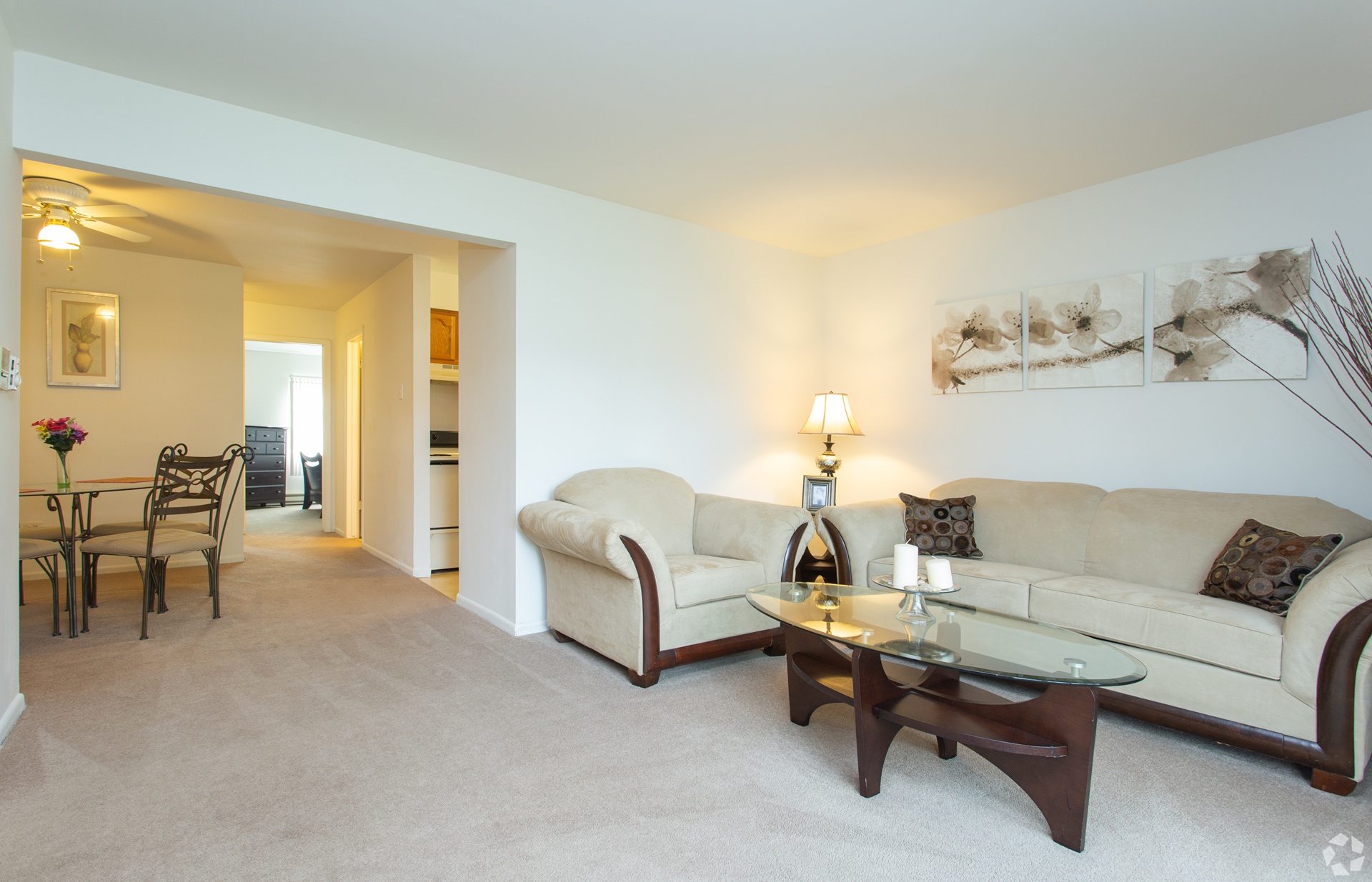 Dynasty Pointe Apartments living room in Woodridge Illinois